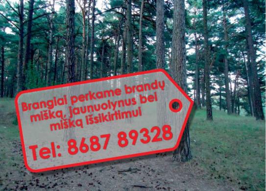 Perkame miškus visoje Lietuvoje-0