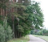 PUŠYNE IŠNUOMOJAMAS DIDELIS 20 KV. M KAMBARYS - 2 KAMBARIŲ BUTE ŽEMUOSIUOSE KANIŪKUOSE VIRGALĖS G. - TVARKINGAM STUDENTUI, DIRBANČIAM VAIKINUI ARBA MERGINAI-0