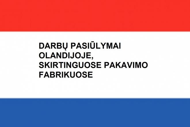 DARBAI OLANDIJOJE FABRIKUOSE. VYRAM, MOTERIM, POROM-0