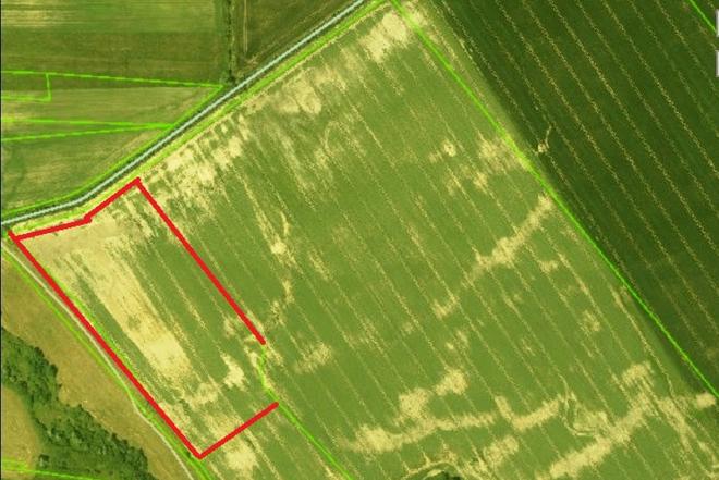 3,64 ha žemės ūkio sklypas Norių km.Pasvalio r.-0