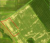 3,64 ha žemės ūkio sklypas Norių km.Pasvalio r.-0