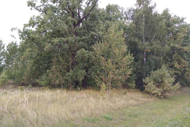 Parduodu sklypa.-0