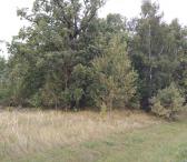 Parduodu sklypa.-0