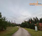 namaipardavimui.lt - UNIKALI VIETA PUŠYNŲ APSUPTYJE TARP 2 EŽERŲ-0