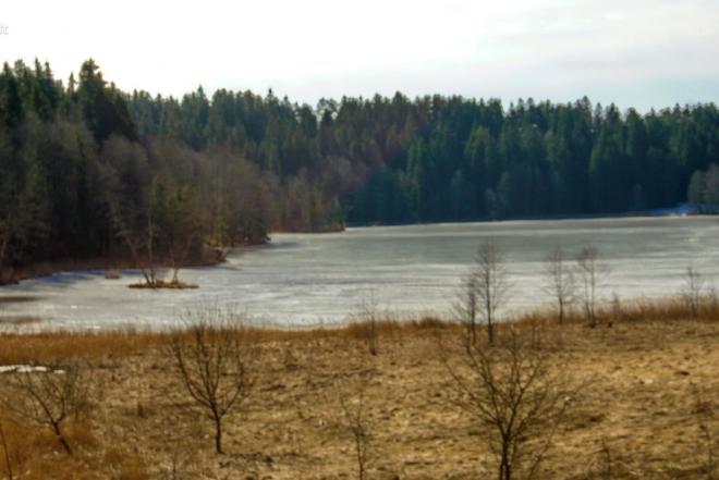 421 A SKLYPAS TRAKŲ R. SAV., ŽUKLIJAI, PAKOJO G.-0