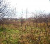 Parduodu sklypa.-0