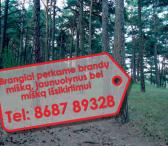 Perkame miškus visoje Lietuvoje-0