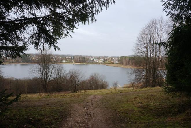 0,26 HA NAMŲ VALDOS SKLYPAS SU ERDVINIU PEIZAŽU Į VYŽUONAIČIO EŽERĄ UTENOJE-0