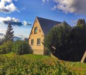 Anykščių r. sav., Svėdasų mstl., Kalno g., mūrinis namas-0