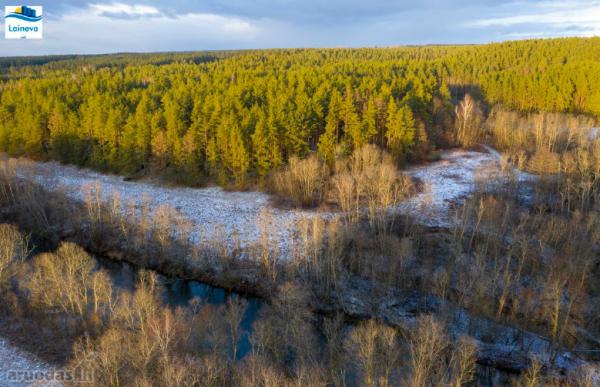 Anykščių r. sav., Vilkabrukių k., rąstinė sodyba-0