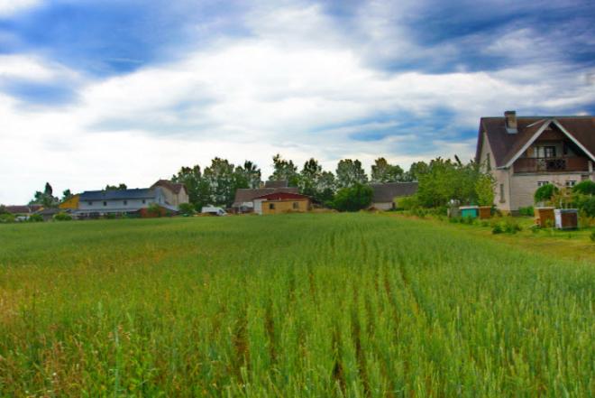 1600 A SKLYPAS ŠILUTĖS R. SAV., USĖNAI, GĖLIŲ G.-0