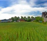 1600 A SKLYPAS ŠILUTĖS R. SAV., USĖNAI, GĖLIŲ G.-0
