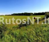 Parduodamas žemės sklypas Kalnuvėnų kaime-0