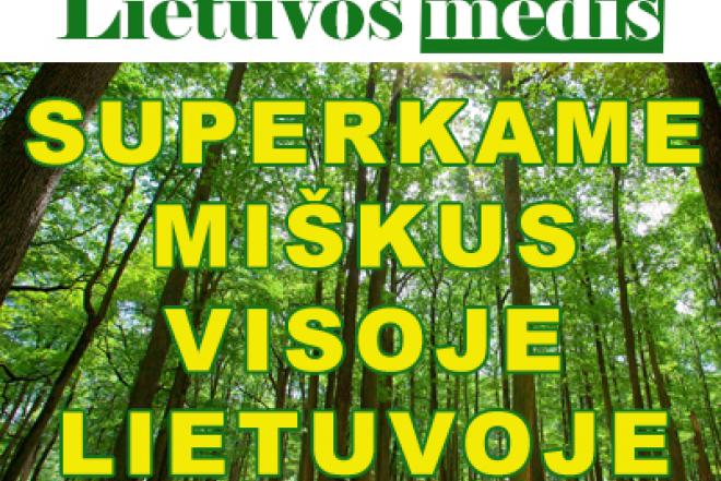 Brangiai perkame įvairaus amžiaus miškus-0