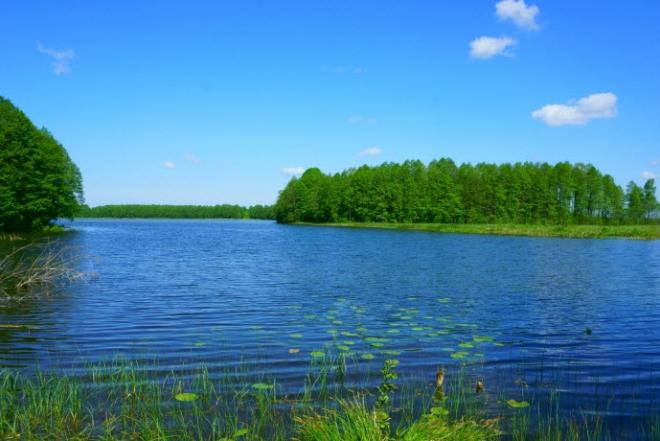 Trakų r. 1,29ha prie Greiželio ežero miške su pakrante-0