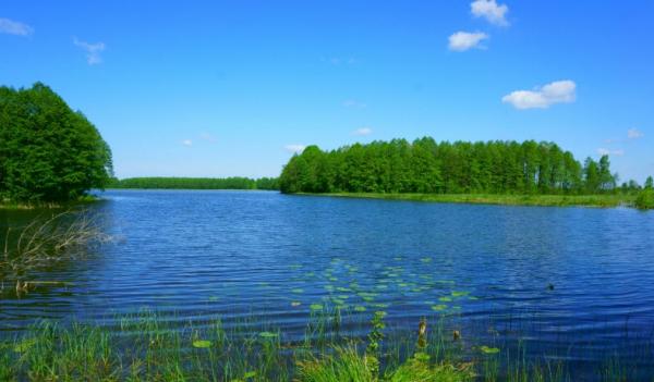 Trakų r. 1,29ha prie Greiželio ežero miške su pakrante-0