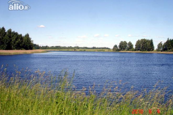 200 A SKLYPAS MOLĖTŲ R. SAV., GRYBĖNAI-0