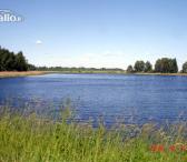 200 A SKLYPAS MOLĖTŲ R. SAV., GRYBĖNAI-0