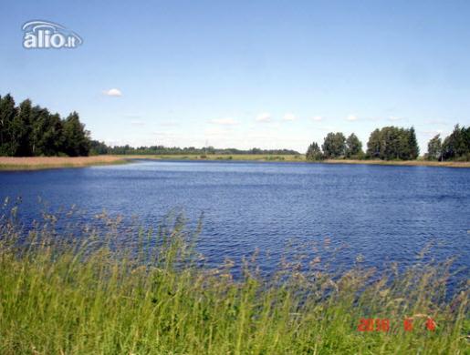 200 A SKLYPAS MOLĖTŲ R. SAV., GRYBĖNAI-0