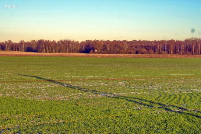 49,80 HA SKLYPAS PRIE BISTRAMPOLIO DVARO-0