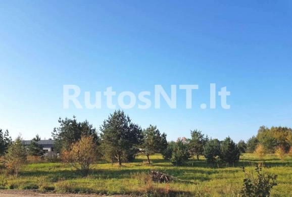 Parduodamas žemės sklypas Dituvoje-0