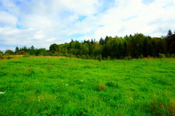 Elektrėnų sav., Laičiai (Semeliškių sen.), Laičių g.-0