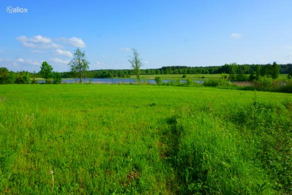 1330 A SKLYPAS VILNIAUS R. SAV., RUKAINIAI, MŪRININKŲ G.-0