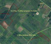 13,30 HA SKLYPAS VILNIAUS R. SAV., RUKAINIAI, MŪRININKŲ G.-0