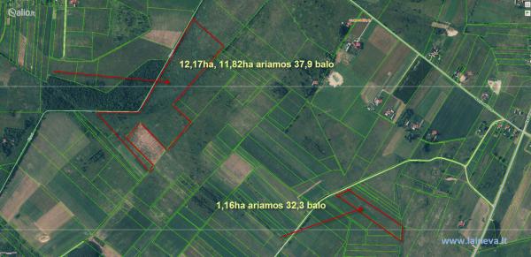 13,30 HA SKLYPAS VILNIAUS R. SAV., RUKAINIAI, MŪRININKŲ G.-0