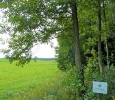 PARDUODAMI 53 ARAI GRAŽIOJE VIETOJE - TARP DVIEJŲ MIŠKŲ-0
