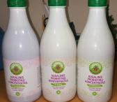 Augalinis probiotikų koncentratas (lacto bifido bakterijų koncentratas-0