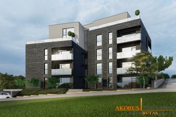SAPIEGINESPUSYNAI.LT - PROJEKTAS ŠALIA MIŠKO-0