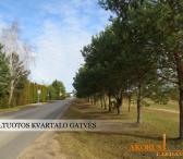SKLYPAIPARDAVIMUI.LT - SKLYPAS BALSIŲ GYVENVIETĖJE-0
