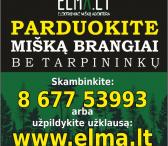 Parduok mišką brangiai-0
