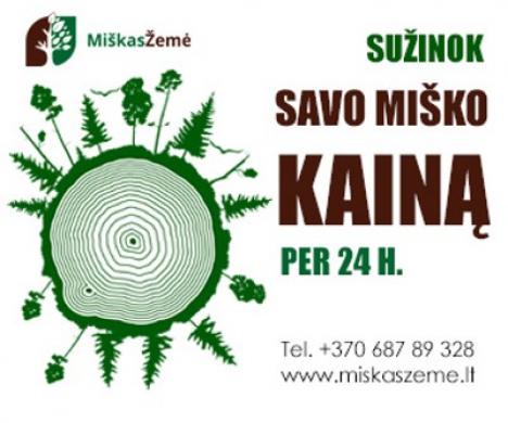 Perkame miškus visoje Lietuvoje-0
