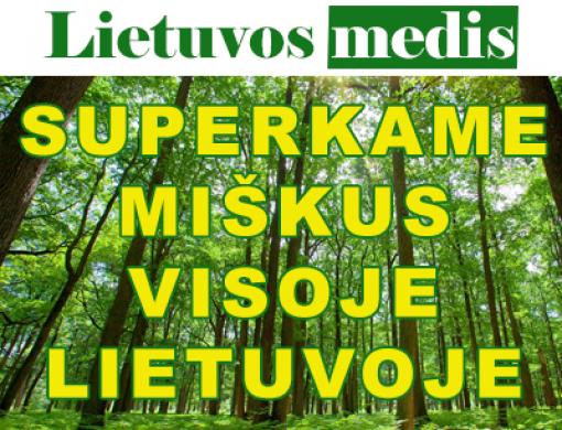 Brangiai perkame įvairaus amžiaus miškus-0