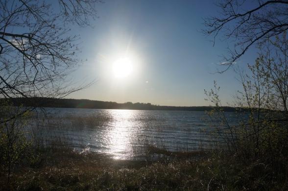 4,10 ha sklypas Plavėjų k. Ignalinos r.-0
