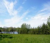 0,7005 HA SKLYPAS TAUKELIŲ K. UTENOS R.-0