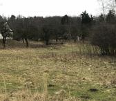980a sklypas su sodyba Kaišiadorių r. sav. _Žiežmarių sen. Rečionių km.-0