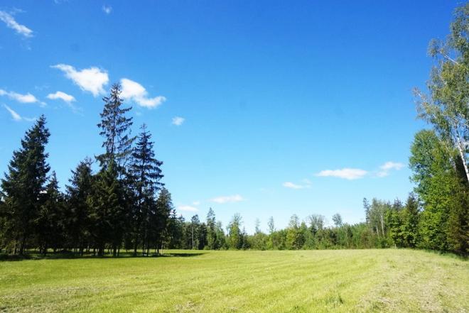 1,0576 ha sklypas su tvenkiniu Grybelių k. Utenos r.-0