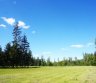 1,0576 ha sklypas su tvenkiniu Grybelių k. Utenos r.-0