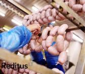 Produkcijos darbuotojas – mėsos gaminiai Norvegijoje (727)-0