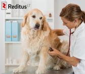 Veterinarijos gydytojas – smulkus gyvūnai Olandija 734-0