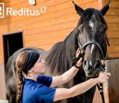 Veterinarijos gydytojas – stambūs gyvūnai Olandija 735-0