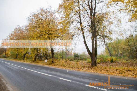 sklypaipardavimui.lt - NAMŲ VALDOS SKLYPAS PRIE ASFALTUOTO KELIO-0