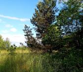 Parduodu sklypa.-0