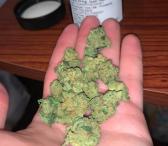 Aukštos klasės medicininės marihuanos „Sativa“ ir „Indica“ padermės-0