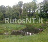 Parduodamas sklypas Rudaičių kaime-0