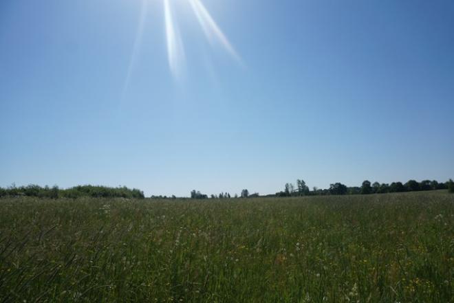 24,06 arų namų valdos sklypas Klovinių k. Utenos r.-0