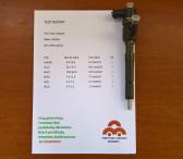 Kuro purkštukas Alfa Romeo,Fiat,Ford,Lancia,Opel. 0986435102 arba 0445110183.-0